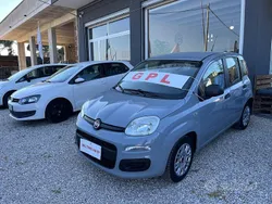 Grigio Usata 2017 Fiat Panda Lounge Due volumi | 8500 € (Cara)