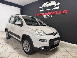 Beige Usata 2013 Fiat Panda 4x4 S Due volumi | 7990 € (Buon prezzo)