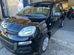 Bianco Nuova 2025 Fiat Grande Panda Icon Due volumi | 11.500 € (Ottimo prezzo)