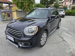 Blu/azzurro Usata 2019 Mini One D Countryman Hype SUV | 15.999 € (Buon prezzo)
