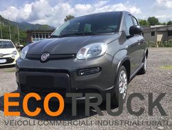 Grigio Usata 2023 Fiat Panda City Life Tre volumi | 14.000 € (Molto cara)