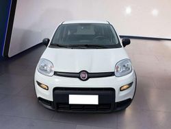 Bianco Usata 2024 Fiat Panda Due volumi | 11.500 € (Buon prezzo)
