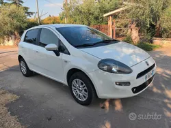 Bianco Usata 2015 Fiat Punto Lounge Due volumi | 4600 € (Buon prezzo)