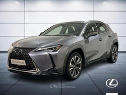Gray Usata 2019 Lexus UX Executive Line SUV | 25.900 € (Molto cara)