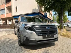 Grigio Nuova 2025 Subaru Forester Style SUV | 36.900 €