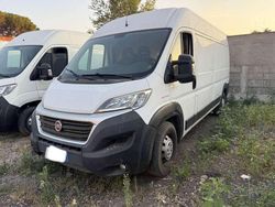 Bianco Usata 2020 Fiat Ducato Furgone | 9999 € (Super prezzo)