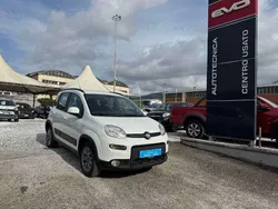 Bianco Usata 2017 Fiat Panda 4x4 S Due volumi | 14.200 € (Molto cara)