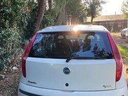 Bianco Usata 2005 Fiat Punto Tre volumi | 1000 € (Ottimo prezzo)