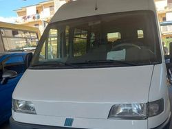 Bianco Usata 2003 Fiat Ducato Furgone | 7000 € (Buon prezzo)