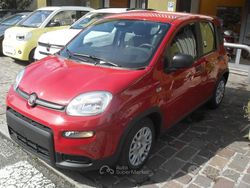 Rosso Usata 2024 Fiat Panda City Life Due volumi | 13.500 € (Cara)