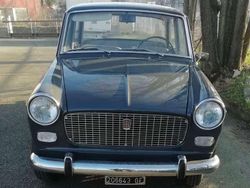Grigio Usata 1963 Fiat 1100D Tre volumi | 7800 €