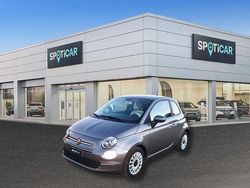 Grigio Usata 2021 Fiat 500 Lounge Tre volumi | 13.500 € (Molto cara)