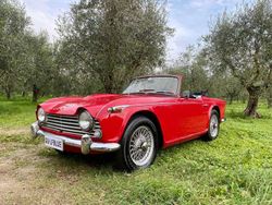 Rosso Usata 1966 Triumph TR4 Cabrio | 27.000 €