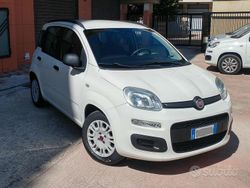 Bianco Usata 2013 Fiat Panda Easy Due volumi | 7500 € (Buon prezzo)