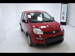 Rosso Nuova 2025 Fiat Panda Icon | 14.500 €