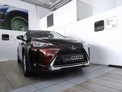 Bronzo Usata 2020 Lexus UX Business Edition SUV | 22.700 € (Buon prezzo)