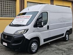 Bianco Usata 2019 Fiat Ducato Furgone | 11.900 € (Ottimo prezzo)