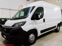 Bianco ducato Usata 2020 Fiat Ducato Furgone | 15.300 € (Super prezzo)