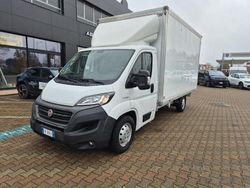 Bianco Usata 2019 Fiat Ducato Furgone | 17.900 € (Molto cara)