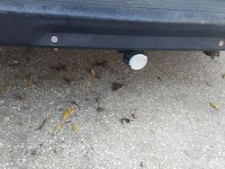 Usata 2007 Fiat Doblò Monovolume | 2900 € (Ottimo prezzo)