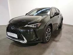 Verde Usata 2019 Lexus UX 250h Executive Line SUV | 21.700 € (Buon prezzo)