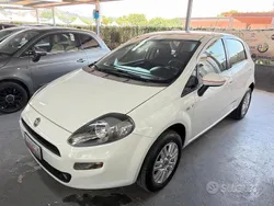 Bianco Usata 2015 Fiat Punto Lounge Due volumi | 5500 € (Ottimo prezzo)