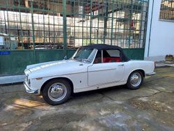Bianco Usata 1963 Innocenti 1100 Spider Cabrio | 12.500 €