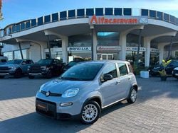 Grigio Usata 2023 Fiat Panda Tre volumi | 11.900 € (Buon prezzo)