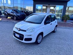 Bianco Usata 2020 Fiat Panda Easy Due volumi | 10.500 € (Buon prezzo)