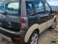 Verde Usata 2007 Fiat Panda 4x4 Cross Due volumi | 7500 €