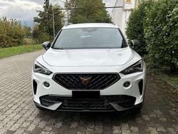 Bianco Usata 2024 Cupra Formentor SUV | 25.500 € (Ottimo prezzo)