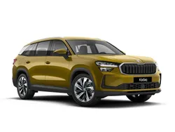 Bronx gold metallizzato Usata 2024 Skoda Kodiaq Selection SUV | 39.900 € (Cara)