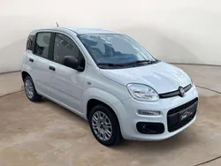 Bianco Usata 2019 Fiat Panda Lounge Due volumi | 10.200 € (Buon prezzo)