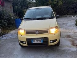 Giallo Usata 2006 Fiat Panda 4x4 Due volumi | 5000 €