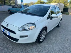 Bianco Usata 2017 Fiat Punto Street Due volumi | 7900 € (Buon prezzo)