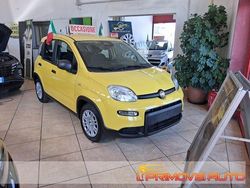 Vari colori Usata 2024 Fiat Panda S Tre volumi | 12.900 € (Buon prezzo)