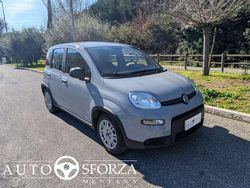 Grigio Usata 2023 Fiat Panda Due volumi | 11.900 € (Buon prezzo)