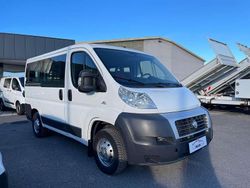 Bianco Usata 2013 Fiat Ducato Furgone | 15.000 € (Molto cara)