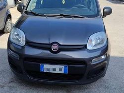 Grigio Usata 2021 Fiat Panda Due volumi | 8500 € (Ottimo prezzo)