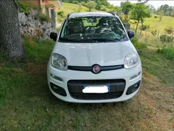 Bianco Usata 2014 Fiat Panda Pop Due volumi | 5500 € (Ottimo prezzo)
