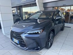 Grigio Usata 2024 Lexus NX350h Luxury Line SUV | 52.500 € (Super prezzo)