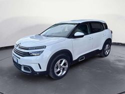 Bianco Usata 2022 Citroën C5 Aircross Business Class SUV | 20.450 € (Buon prezzo)