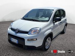Bianco Usata 2023 Fiat Panda Due volumi | 11.900 € (Buon prezzo)