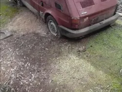 Usata 1981 Fiat 126 S Due volumi | 800 €