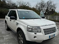 Bianco Usata 2010 Land Rover Freelander 2 SUV | 7000 € (Buon prezzo)