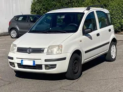 Bianco Usata 2008 Fiat Panda Dynamic Due volumi | 4500 € (Cara)