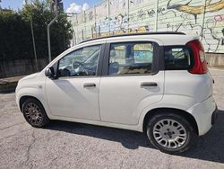 Bianco Usata 2013 Fiat Panda Lounge Due volumi | 6500 € (Buon prezzo)