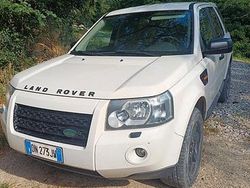Bianco Usata 2008 Land Rover Freelander 2 SUV | 3700 €