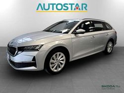 Grigio Usata 2024 Skoda Octavia Selection Station wagon | 26.500 € (Buon prezzo)