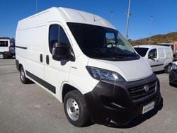 Bianco Usata 2020 Fiat Ducato Furgone | 14.499 € (Ottimo prezzo)